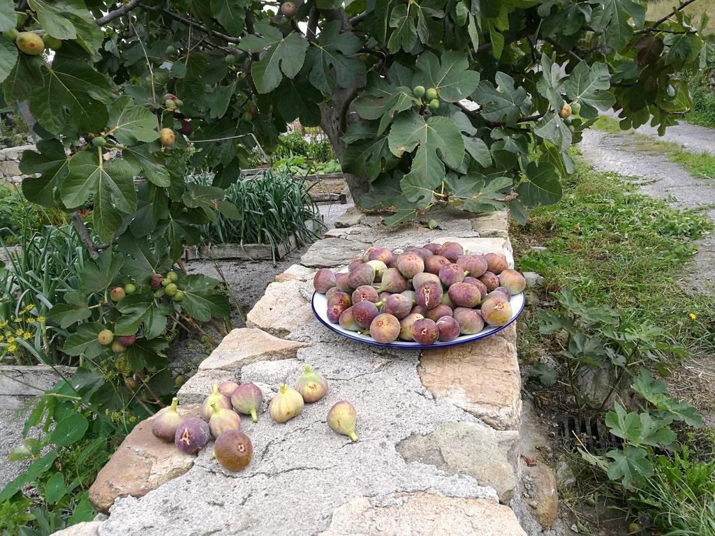 Las Azadas Tezanos Luaran gambar